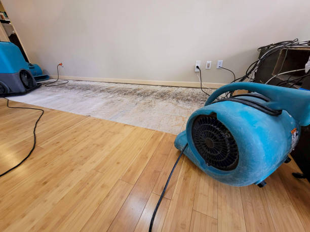 Professional Sewage Cleanup technician working in Benzonia, MI
